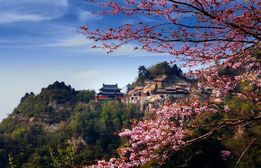 䮔ɽЩע