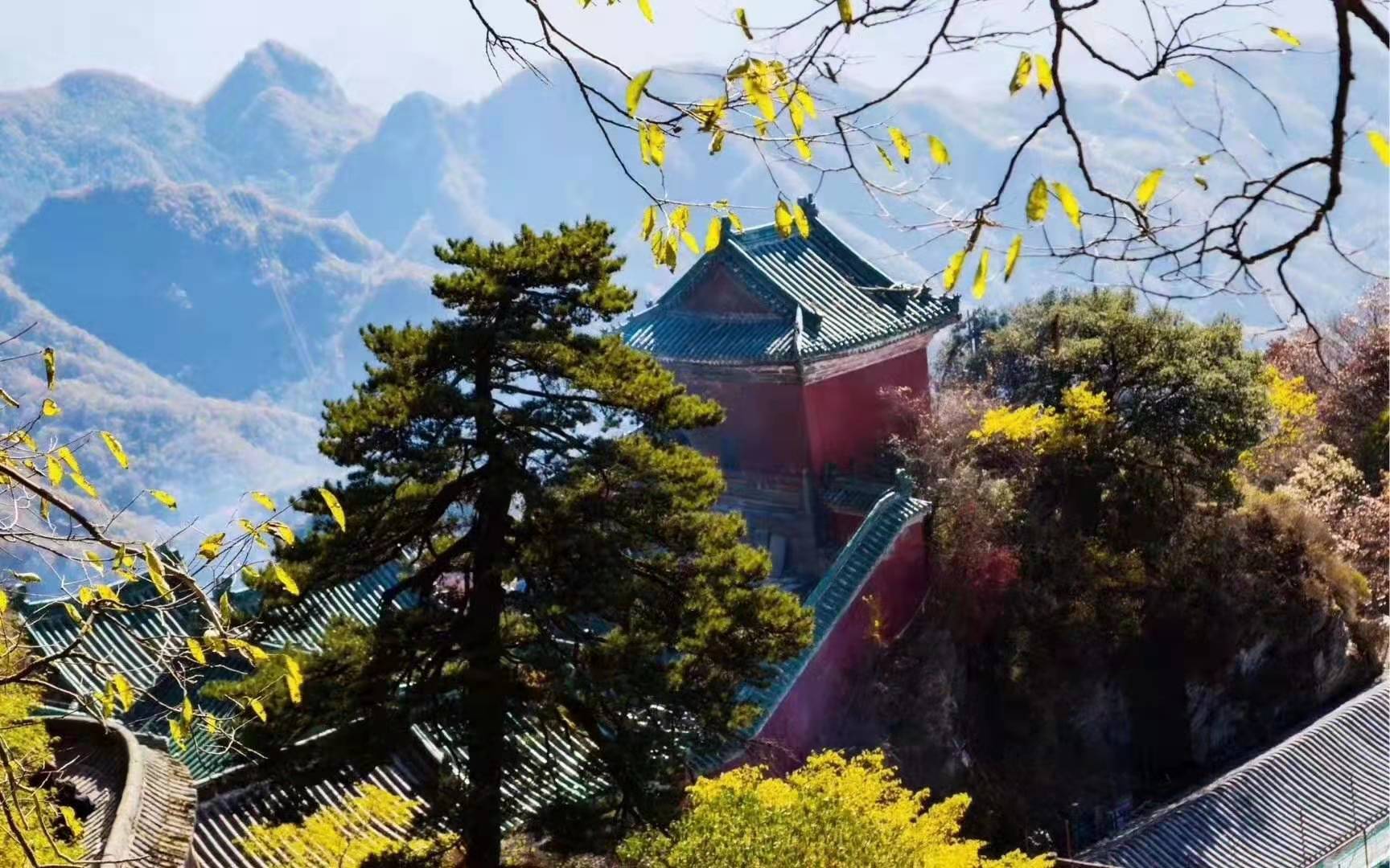 䮔ɽL